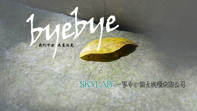 SKYLAB，一家做无线模块的公司